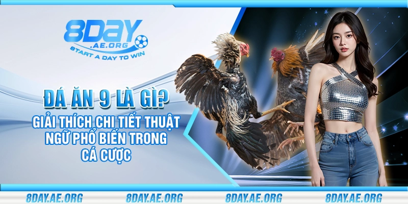 Đá ăn 9 là gì? Ví dụ cụ thể và mẹo cược khôn ngoan