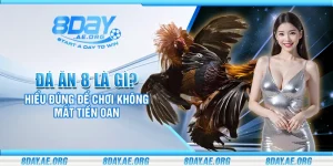 Đá gà 8Day – Mãnh chiến từng trận thắng lớn mỗi ngày