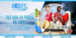 TIN TỨC 8DAY - CẬP NHẬT TIN TỨC MỚI NHẤT HÔM NAY