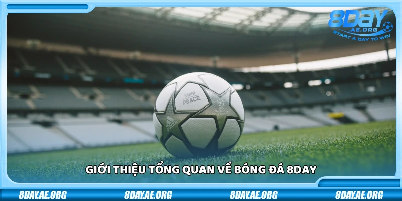 Bóng đá 8day – Đặt kèo cực nhanh ăn tiền cực đã