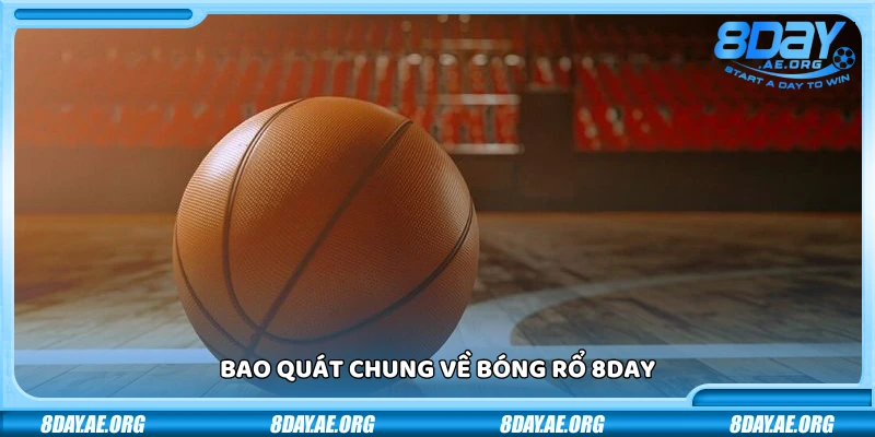 Bóng rổ 8Day – Cược nhanh từng pha ghi điểm