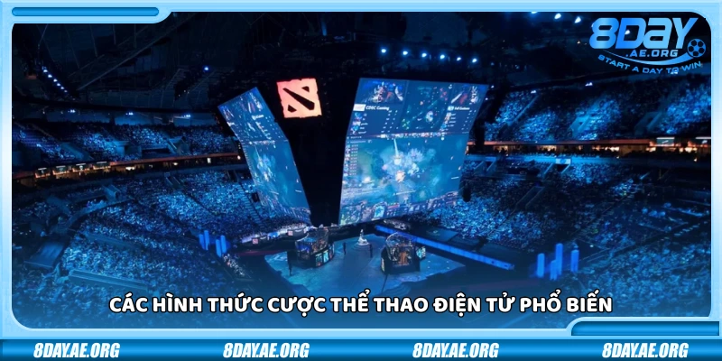 Thể thao điện tử 8Day – Cược Esports cực chất tỷ lệ cực hấp dẫn