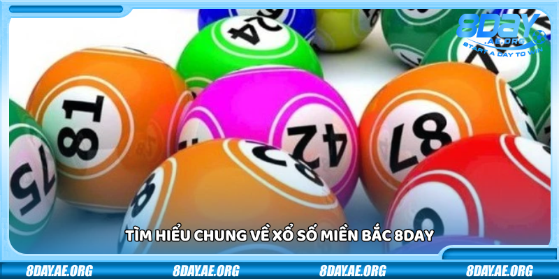 Xổ số Miền Bắc 8Day – Tỷ lệ trúng cao rút tiền siêu tốc