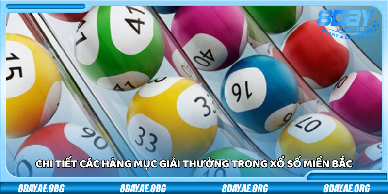 Xổ số Miền Bắc 8Day – Tỷ lệ trúng cao rút tiền siêu tốc