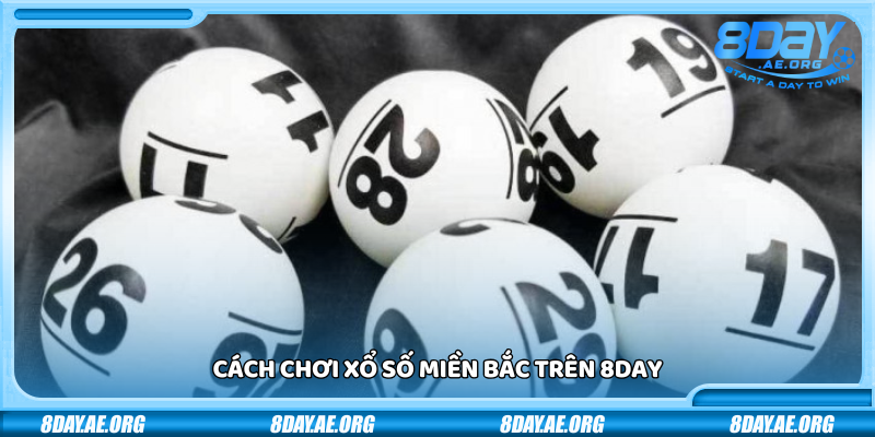 Xổ số Miền Bắc 8Day – Tỷ lệ trúng cao rút tiền siêu tốc