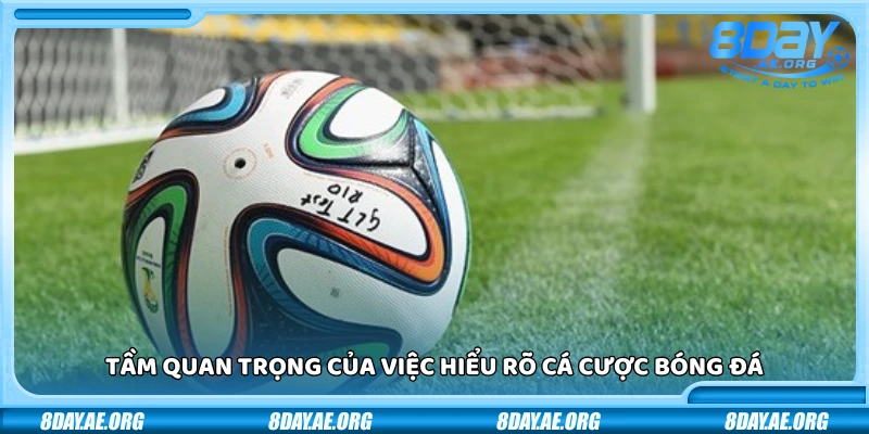 Cách cá cược bóng đá hiệu quả nhất – Bí quyết từ dân chơi lâu năm