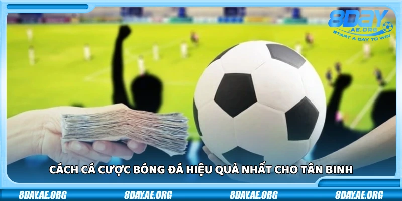 Cách cá cược bóng đá hiệu quả nhất – Bí quyết từ dân chơi lâu năm