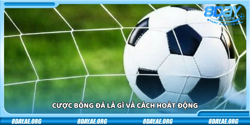 Cược bóng đá là gì? Những điều cần nắm trước khi bắt đầu