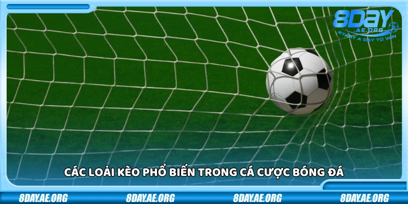 Cược bóng đá là gì? Những điều cần nắm trước khi bắt đầu