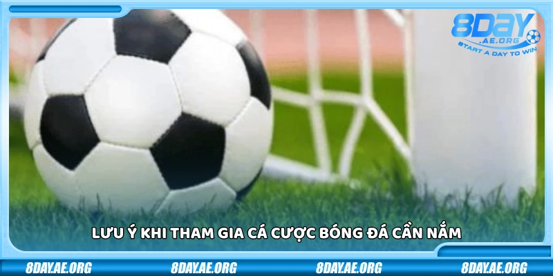 Cược bóng đá là gì? Những điều cần nắm trước khi bắt đầu