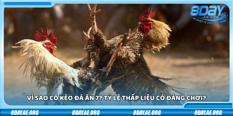 Đá ăn 7 là gì? Giải thích dễ hiểu cho người mới