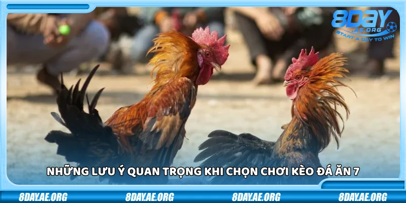 Đá ăn 7 là gì? Giải thích dễ hiểu cho người mới