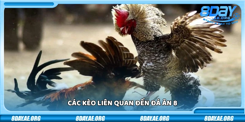 Đá ăn 8 là gì? Hiểu đúng để chơi không mất tiền oan