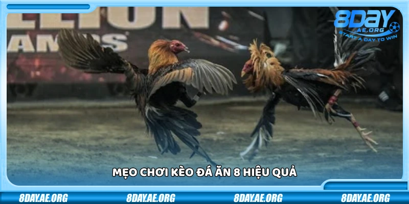 Đá ăn 8 là gì? Hiểu đúng để chơi không mất tiền oan