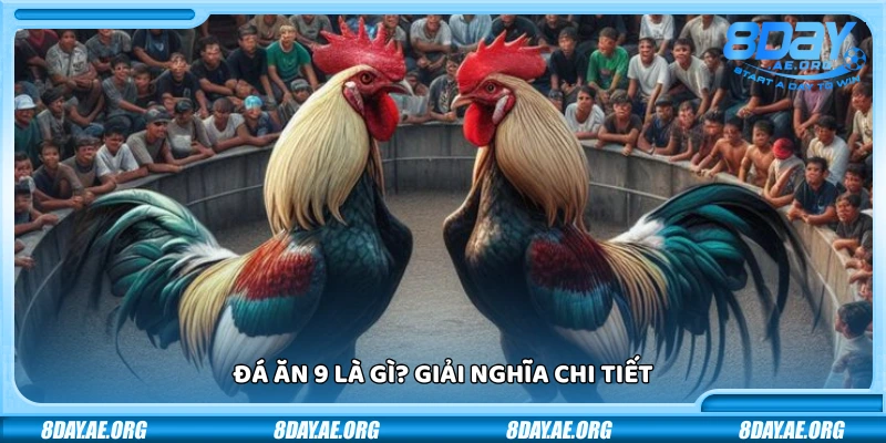 Đá ăn 9 là gì? Ví dụ cụ thể và mẹo cược khôn ngoan