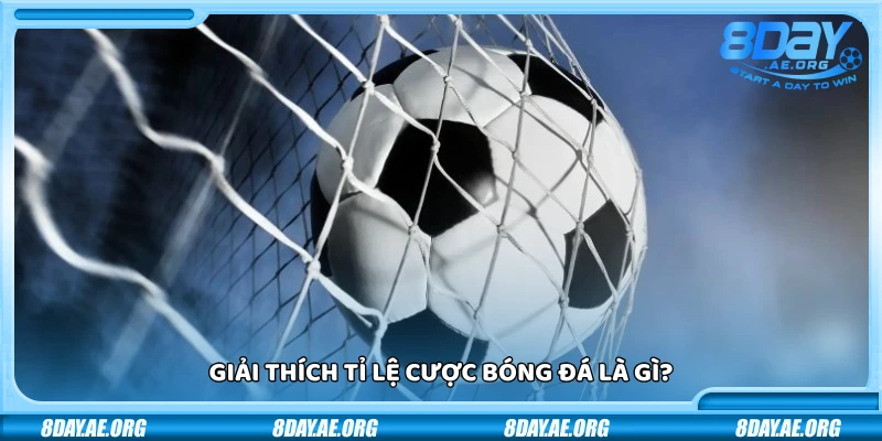 Giải thích tỉ lệ cược bóng đá - Hướng dẫn chi tiết cho người mới bắt đầu