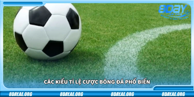 Giải thích tỉ lệ cược bóng đá - Hướng dẫn chi tiết cho người mới bắt đầu