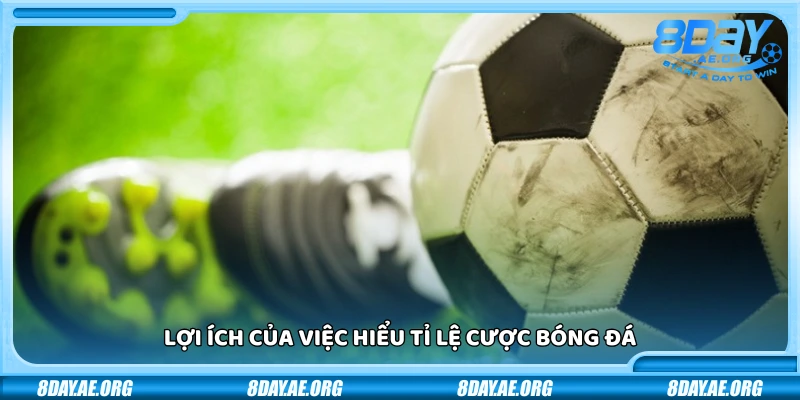 Giải thích tỉ lệ cược bóng đá - Hướng dẫn chi tiết cho người mới bắt đầu