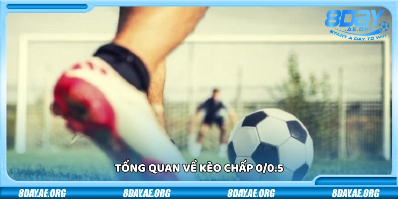 Kèo chấp 0/0.5 - Kinh nghiệm bắt kèo tăng tỷ lệ thắng dễ dàng - 8DAY | NHÀ CÁI 8DAY - SÂN CHƠI CÁ CƯỢC ĐẲNG CẤP 2026