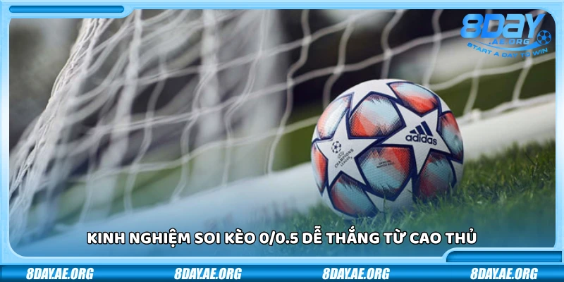 Kèo chấp 0/0.5 - Kinh nghiệm bắt kèo tăng tỷ lệ thắng dễ dàng - 8DAY | NHÀ CÁI 8DAY - SÂN CHƠI CÁ CƯỢC ĐẲNG CẤP 2026