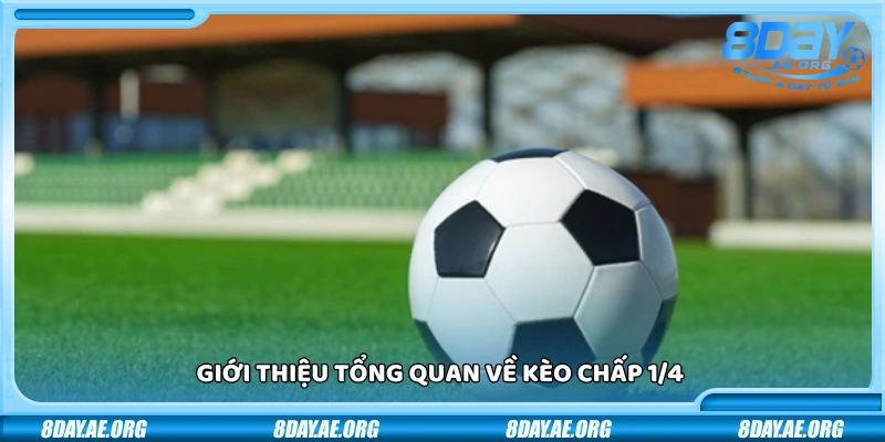 Kèo chấp 1/4 là gì? Kinh nghiệm từ cao thủ cá cược