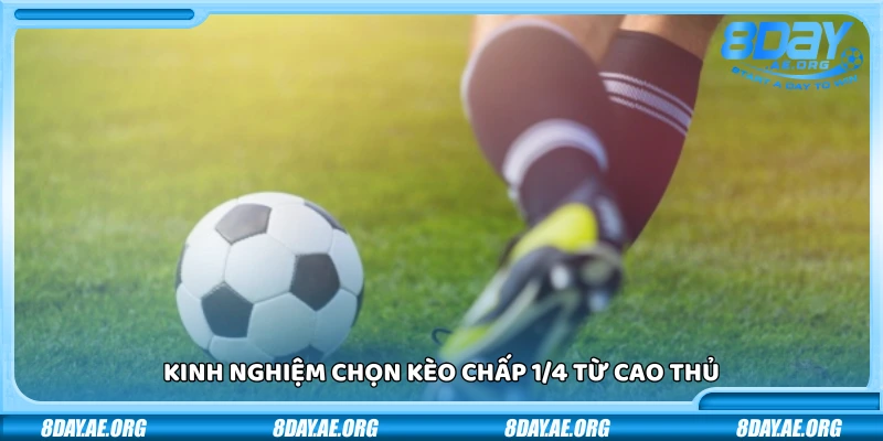 Kèo chấp 1/4 là gì? Kinh nghiệm từ cao thủ cá cược