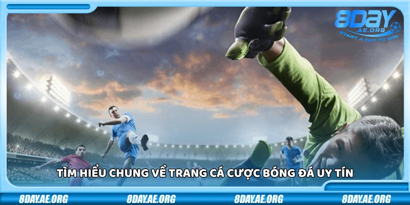 Thế nào là trang cá cược bóng đá uy tín? Xem ngay danh sách đề cử
