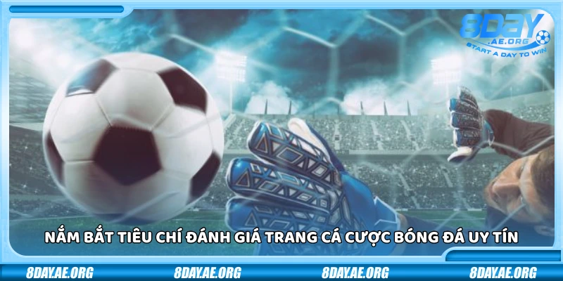Thế nào là trang cá cược bóng đá uy tín? Xem ngay danh sách đề cử