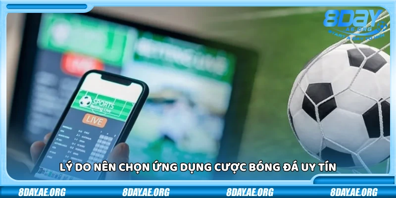 Top 5 ứng dụng cược bóng đá uy tín đáng dùng nhất hiện nay