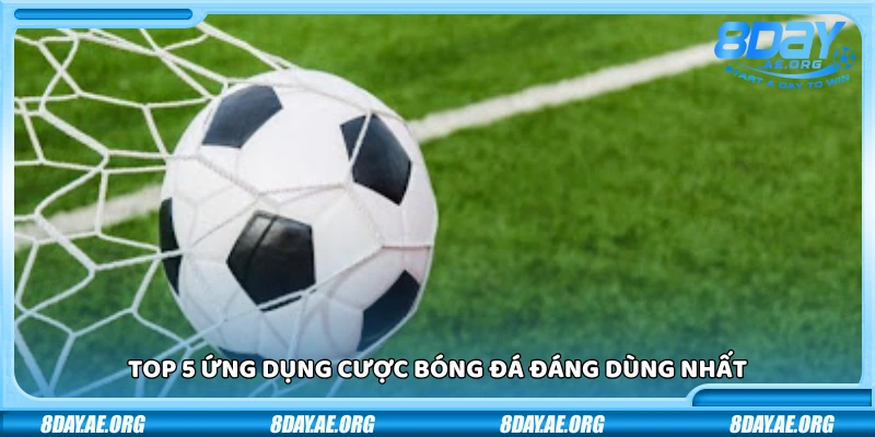 Top 5 ứng dụng cược bóng đá uy tín đáng dùng nhất hiện nay