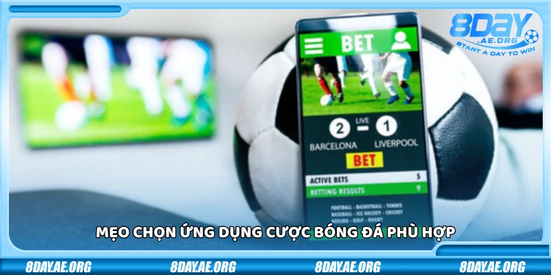 Top 5 ứng dụng cược bóng đá uy tín đáng dùng nhất hiện nay