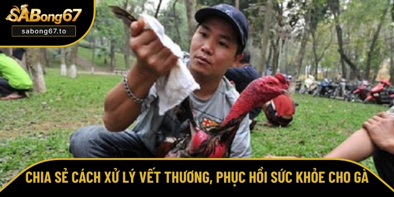 Chăm Sóc Gà Sau Khi Đá Về - Bí Quyết Phục Hồi Nhanh Chóng Chăm Sóc Gà Sau Khi Đá Về - Bí Quyết Phục Hồi Nhanh Chóng