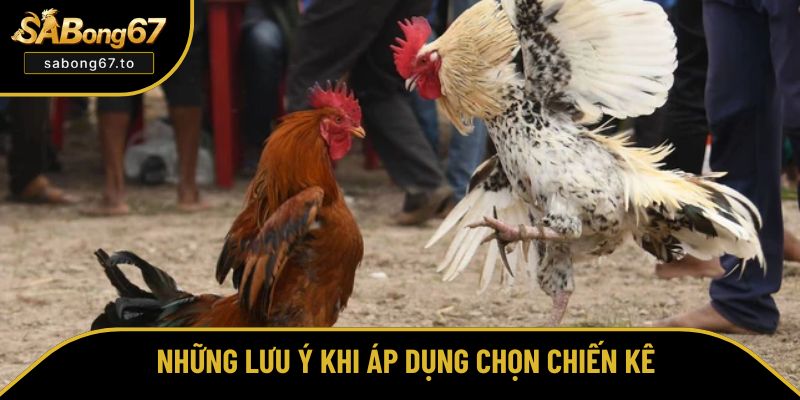 Nắm Vững Cách Chọn Gà Đá Theo Đòn Lối Tại Sabong67