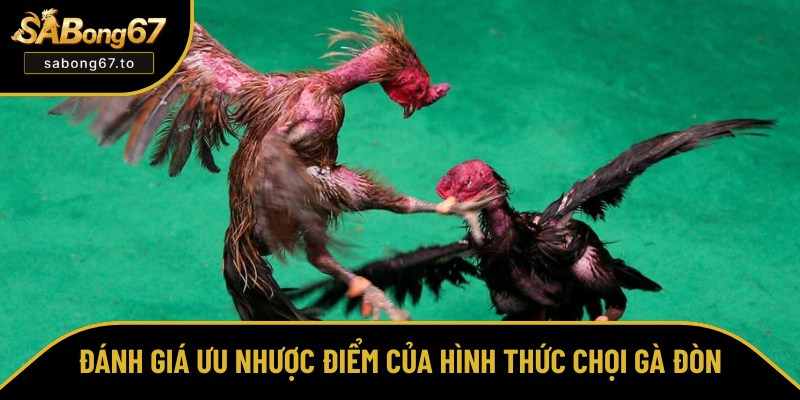 Đá Gà Đòn - Bí Quyết Thắng Lớn Tại Sabong67 Từ Chuyên Gia Đá Gà Đòn - Bí Quyết Thắng Lớn Tại Sabong67 Từ Chuyên Gia