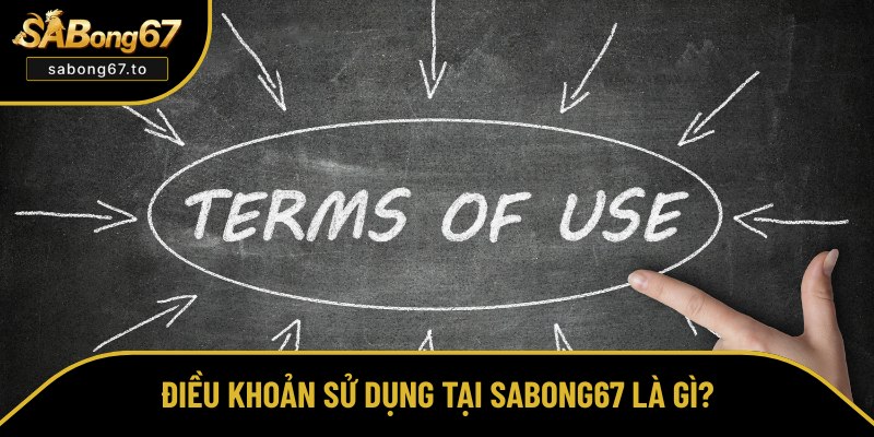 Điều Khoản Sử Dụng Tại Sabong67 - Update Quy Định Chi Tiết