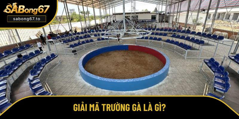 Trường Gà Là Gì? Đặc Điểm Cấu Trúc Và Các Loại Hình Chính Trường Gà Là Gì? Đặc Điểm Cấu Trúc Và Các Loại Hình Chính