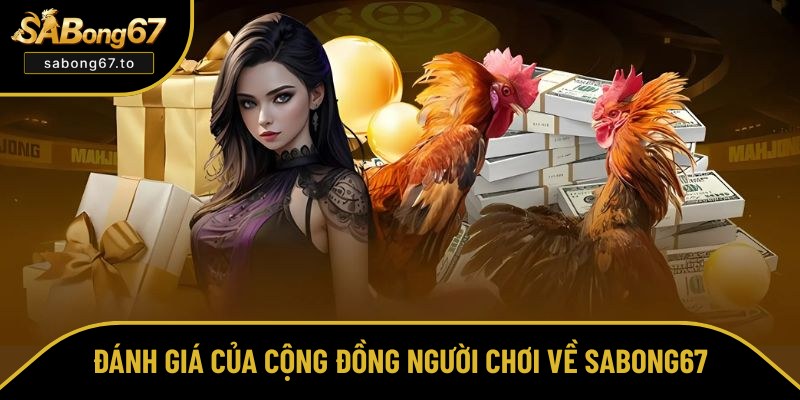 Giới Thiệu Sabong67 - Xem Và Cá Cược Đá Gà Online Top #1