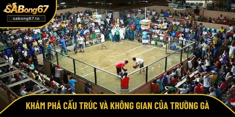 Trường Gà Là Gì? Đặc Điểm Cấu Trúc Và Các Loại Hình Chính Trường Gà Là Gì? Đặc Điểm Cấu Trúc Và Các Loại Hình Chính
