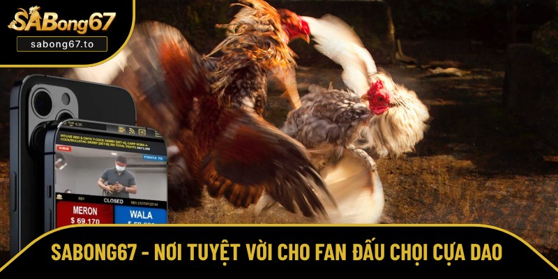 Đá Gà Cựa Dao - Xem, Cá Cược Online An Toàn Tại Sabong67