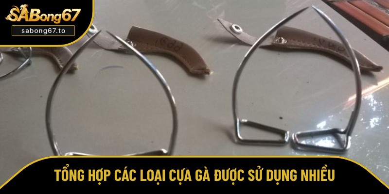 Cách Gắn Cựa Gà - Sabong67 Hướng Dẫn Thực Hiện Và Lưu Ý Cách Gắn Cựa Gà - Sabong67 Hướng Dẫn Thực Hiện Và Lưu Ý