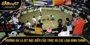Tổng hợp kinh nghiệm chọn và cược đá gà trực tuyến từ SƯ KÊ