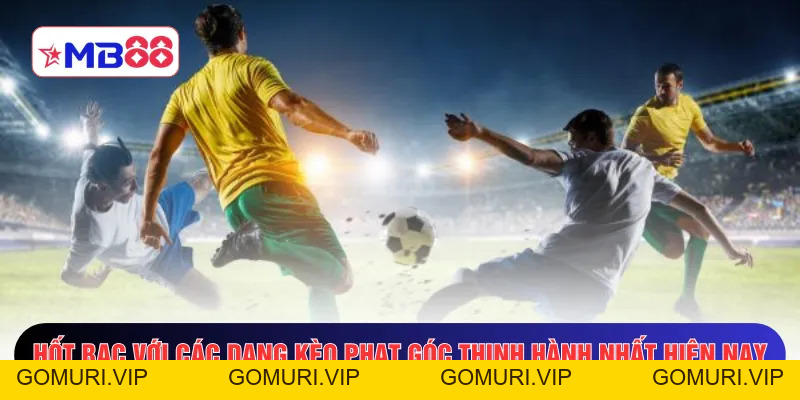 Kèo Góc Về Bờ - Chiến Thuật Gỡ Gạc Gấp 5 Lần Tiền Cược