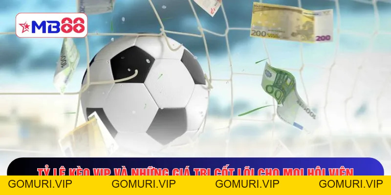 Tỷ Lệ Kèo VIP - Quy Luật Bắt Trọn 90% Cơ Hội Thắng Tại Châu Á