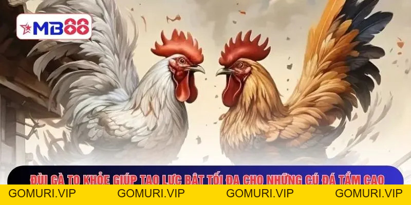 Mẹo Chọn Gà Chuẩn MB88 - Tips Nhận Diện Thần Kê Đỉnh Chóp