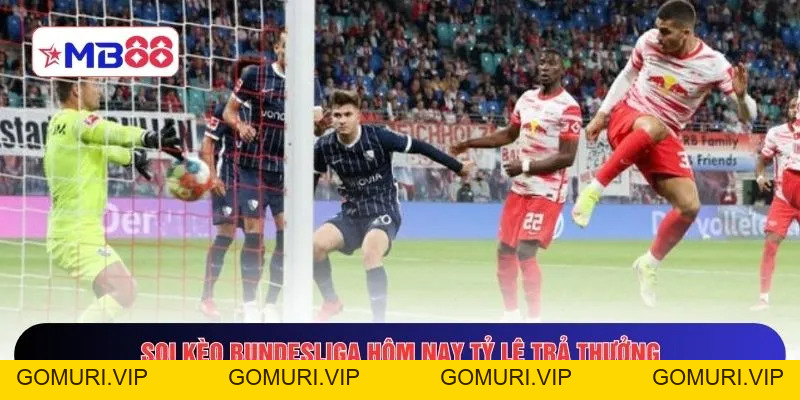 Soi Kèo Bundesliga Hôm Nay MB88 - 18 Câu Lạc Bộ Hàng Đầu