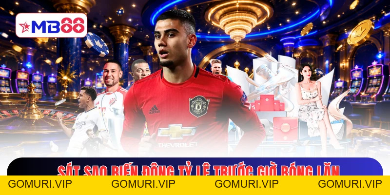 Kèo Draw No Bet - Khám Phá 3 Quy Tắc Nhận Định Đỉnh Cao